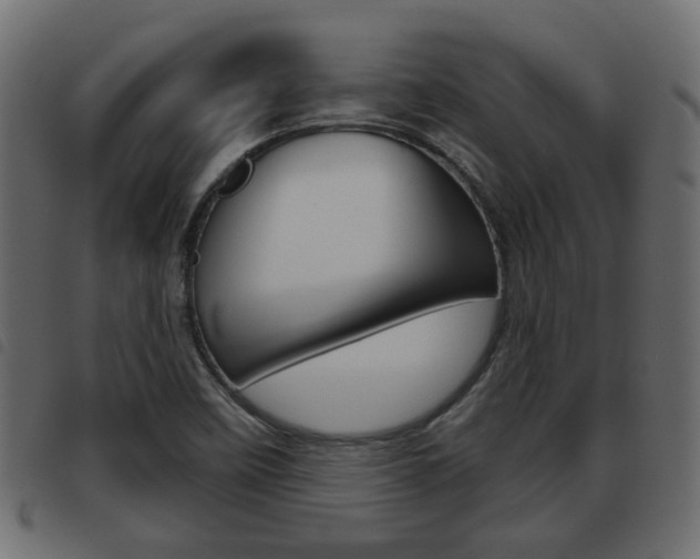 X0000093621458200710151031