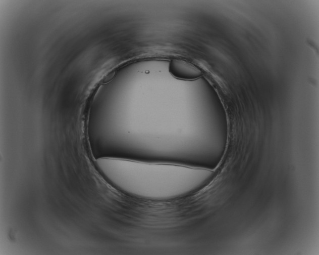 X0000093621459200710151031