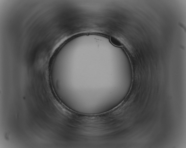 X0000093621460200710151031