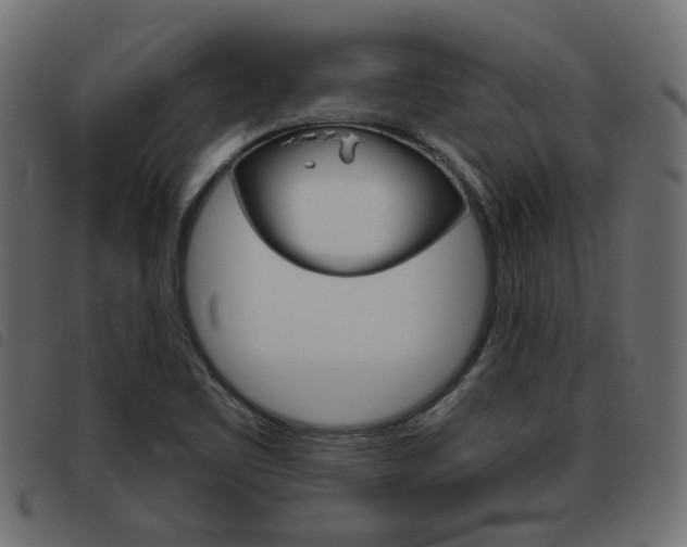 X0000093621461200710151031