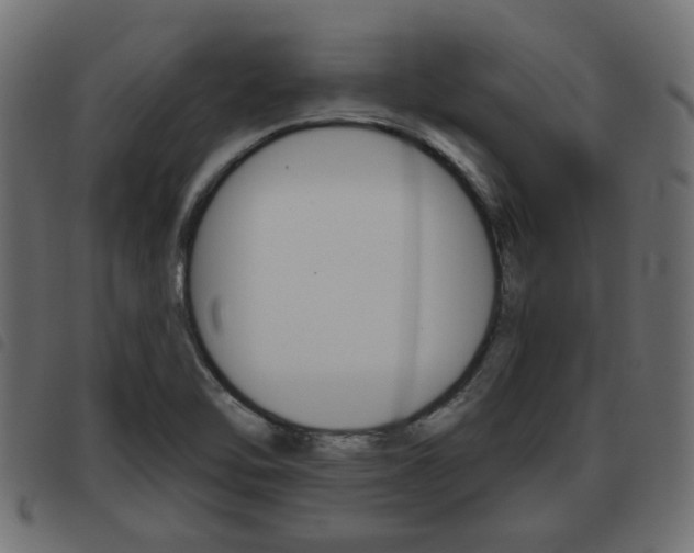X0000093621462200710151031