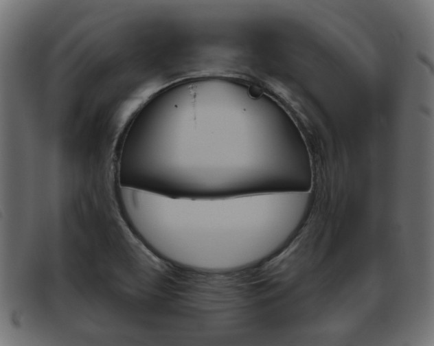 X0000093621463200710151031