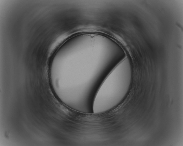 X0000093621464200710151031