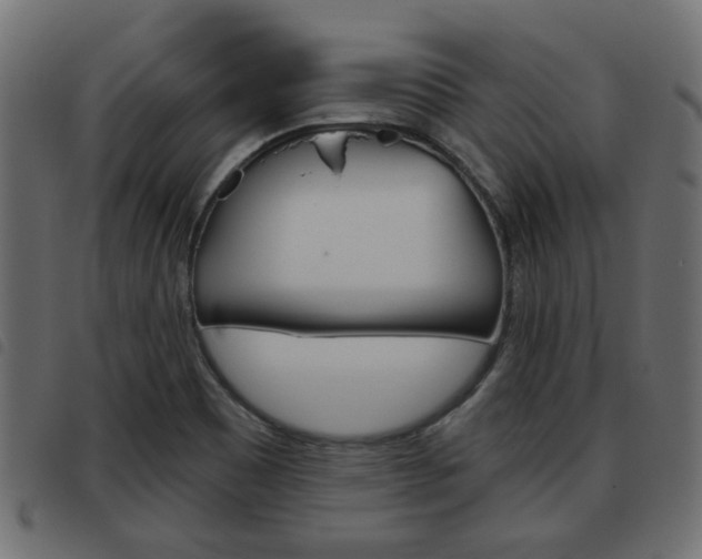 X0000093621465200710151031