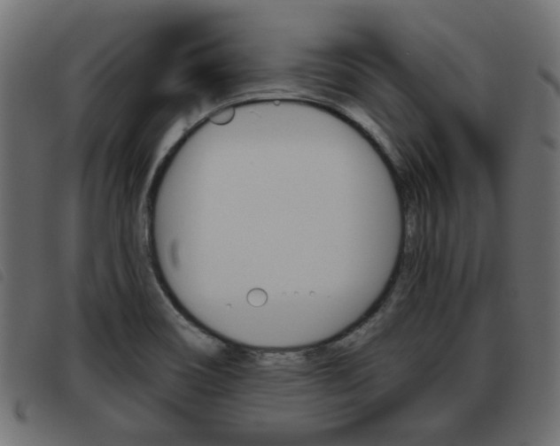 X0000093621466200710151031