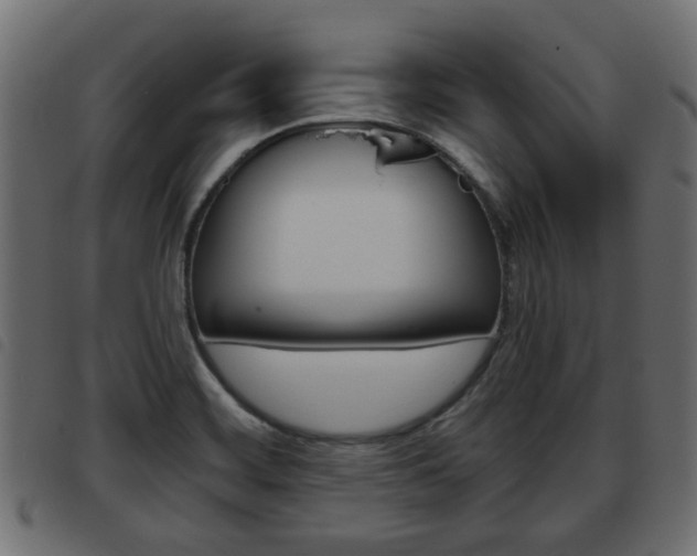 X0000093621468200710151031