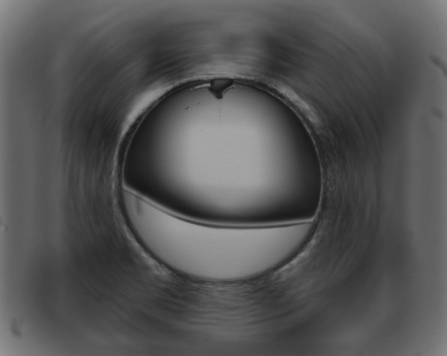 X0000093621469200710151031