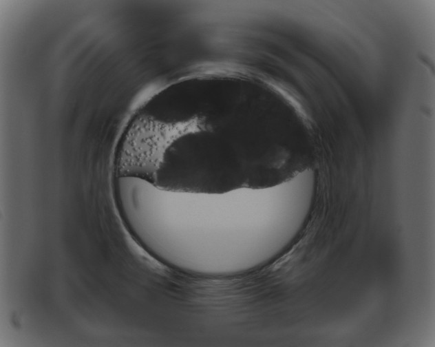 X0000093621471200710151031