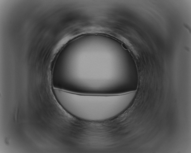 X0000093621472200710151031
