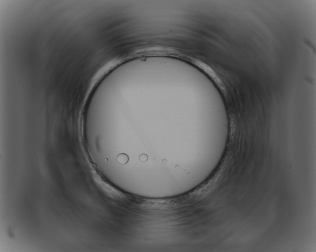 X0000093621474200710151031