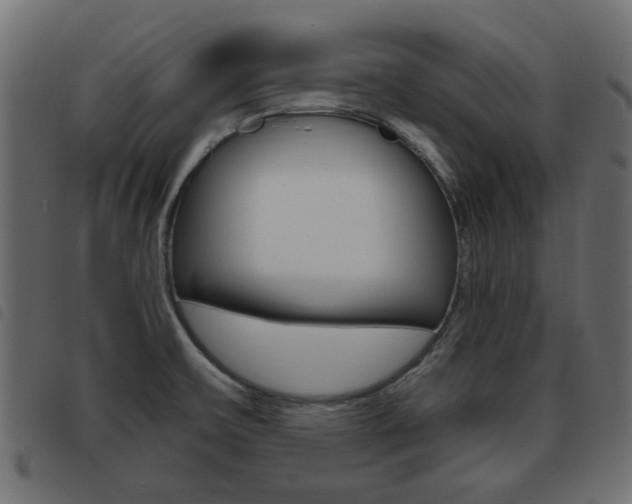 X0000093621475200710151031