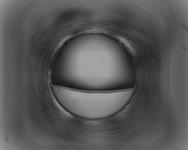 X0000093621476200710151031