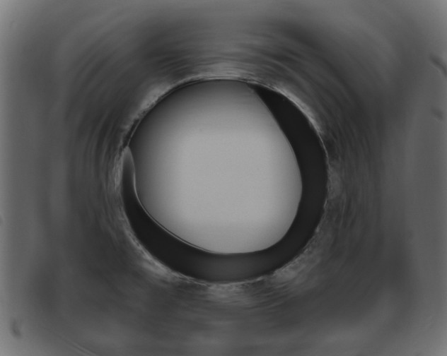 X0000093621477200710151031