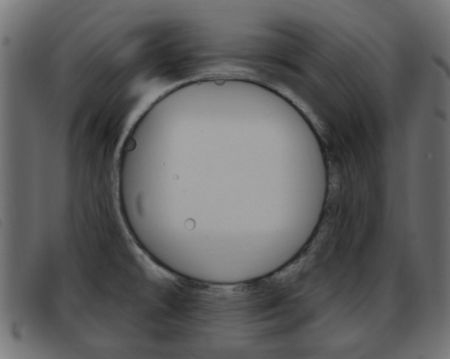 X0000093621478200710151031