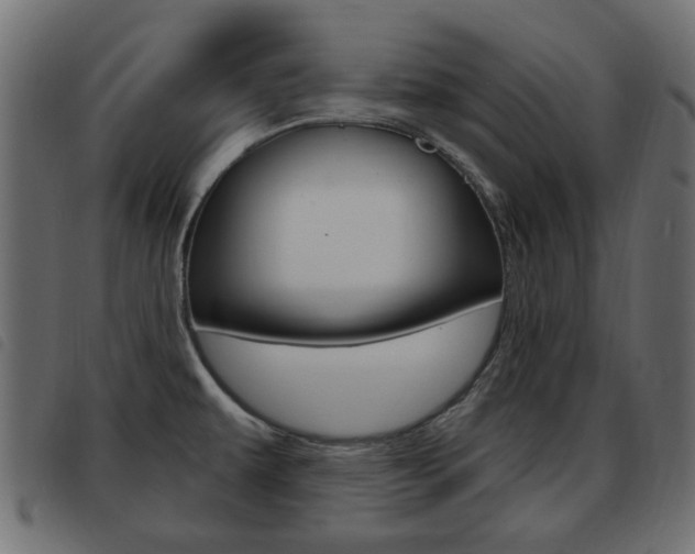 X0000093621479200710151031