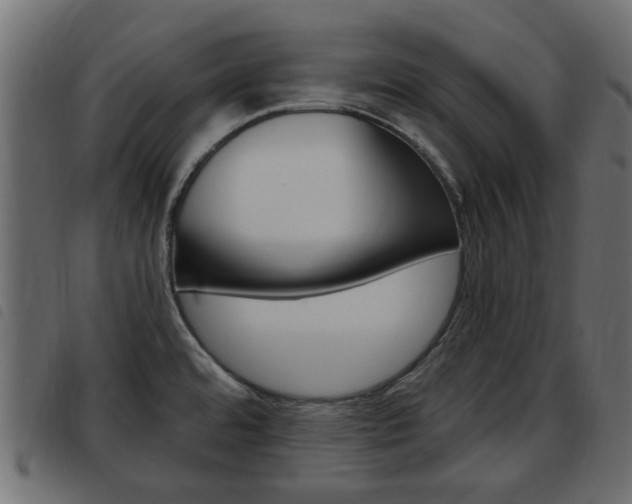 X0000093621480200710151031