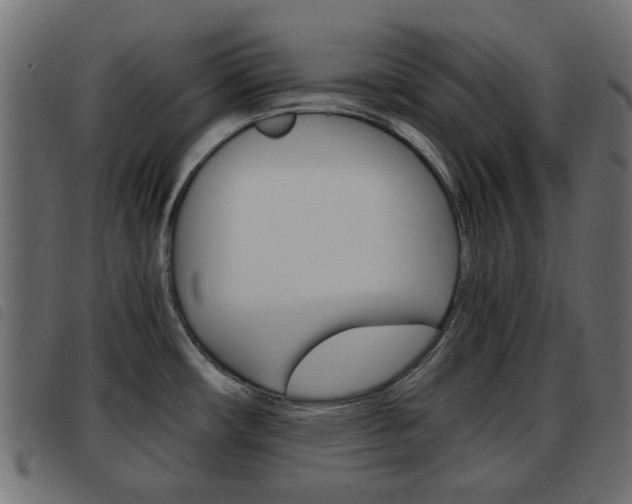 X0000093621482200710151031