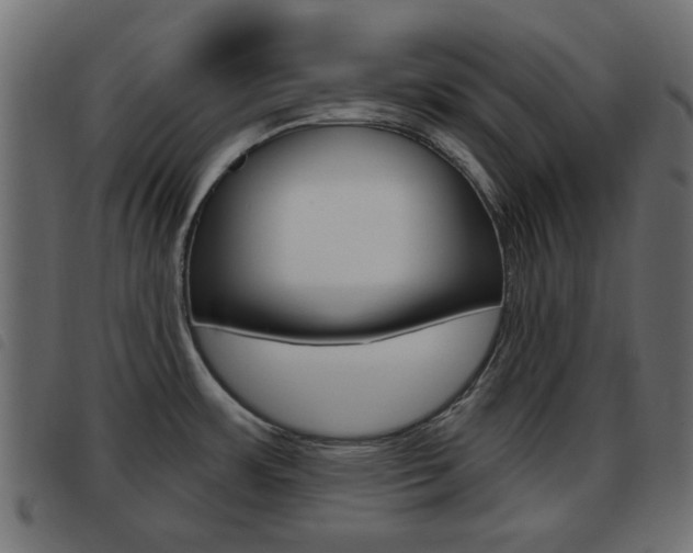 X0000093621483200710151031