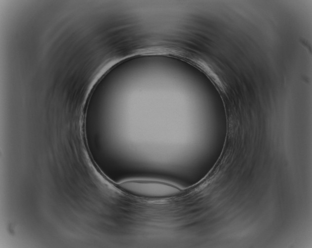 X0000093621484200710151031