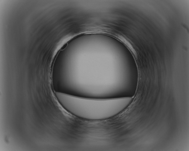 X0000093621485200710151031