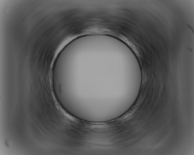 X0000093621486200710151031