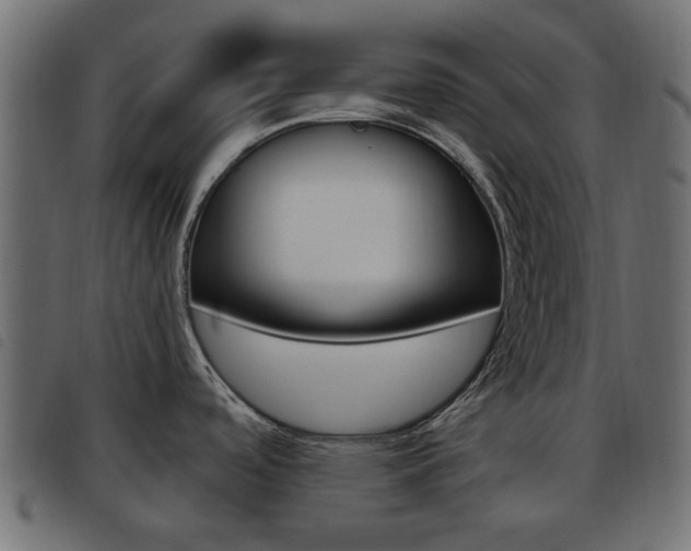 X0000093621488200710151031