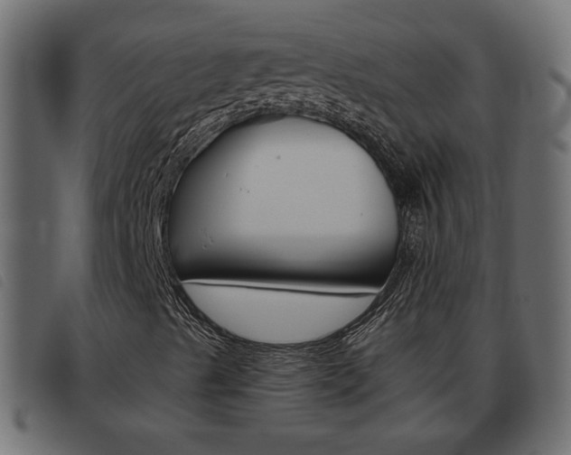 X0000093621489200710151030