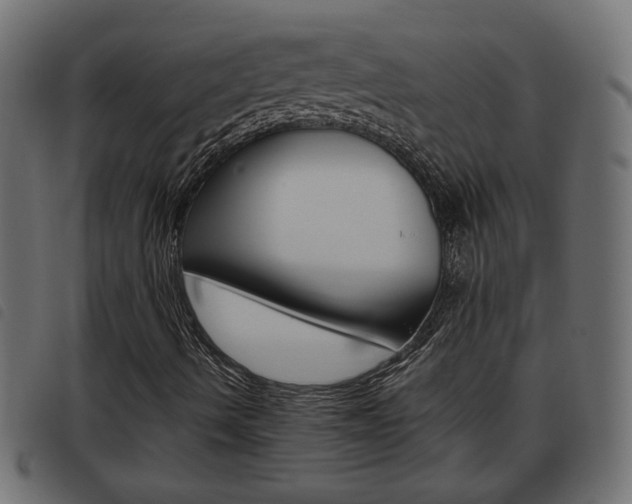 X0000093621490200710151030