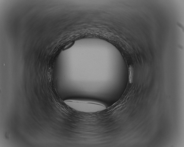 X0000093621491200710151030