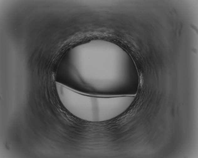 X0000093621492200710151030
