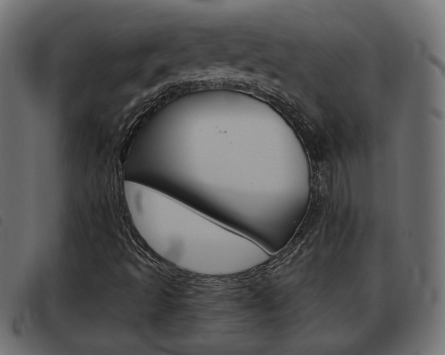 X0000093621493200710151030
