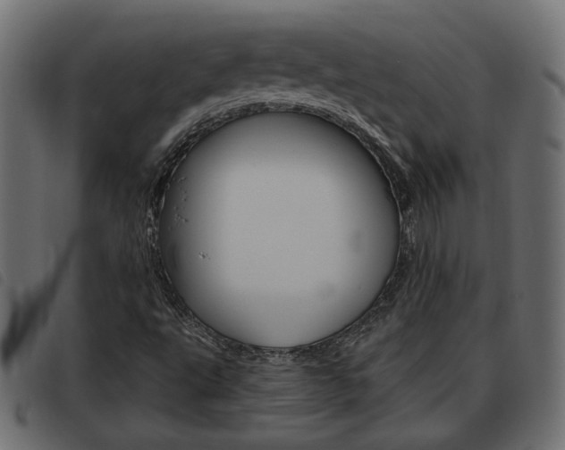 X0000093621495200710151030