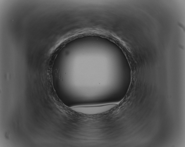 X0000093621496200710151030