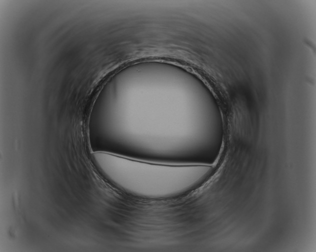 X0000093621497200710151030