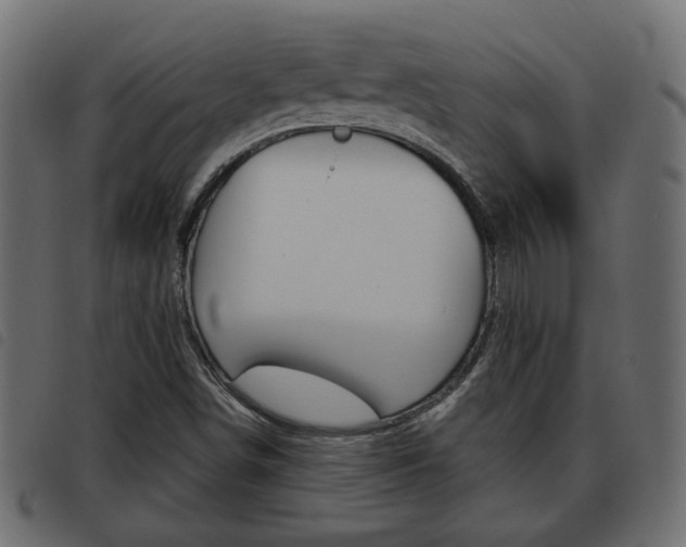 X0000093621498200710151030