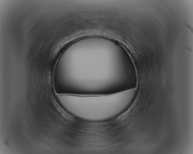X0000093621499200710151030