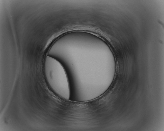 X0000093621501200710151030