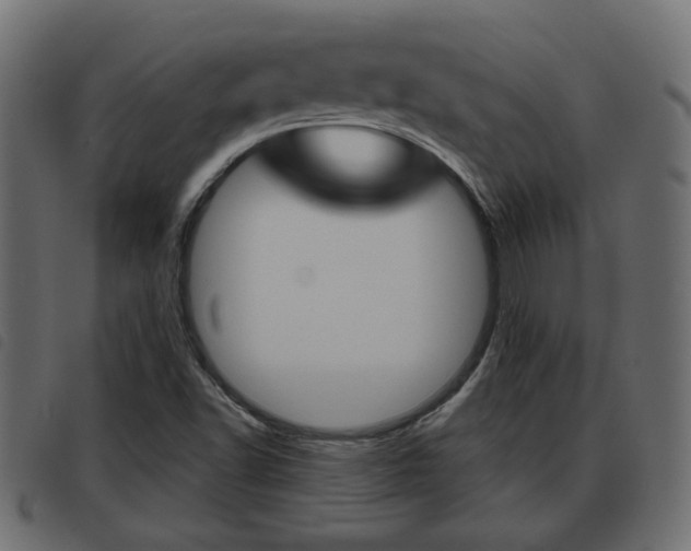 X0000093621502200710151030