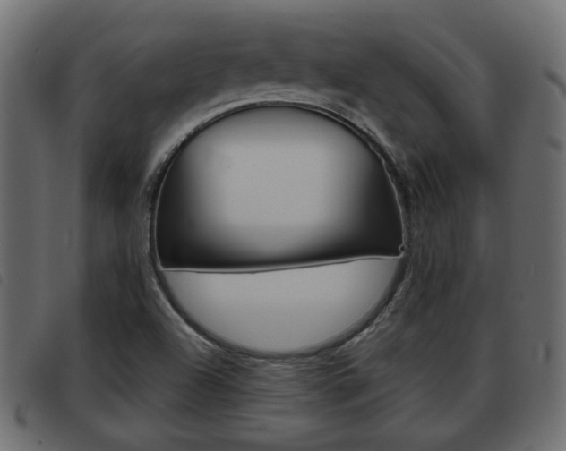 X0000093621504200710151030