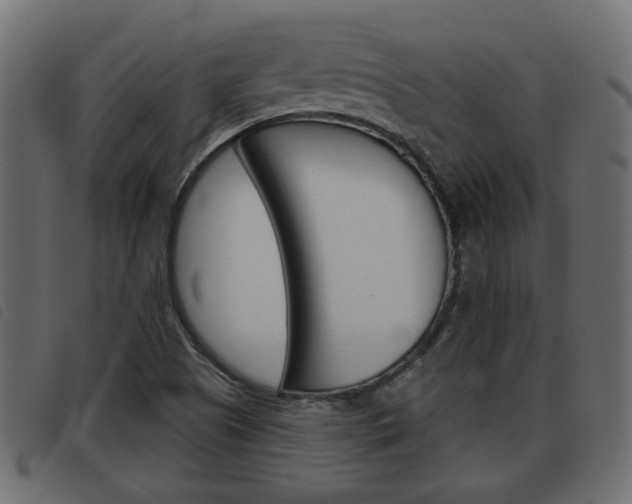 X0000093621505200710151030