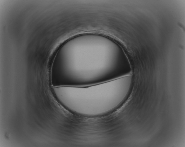 X0000093621506200710151030