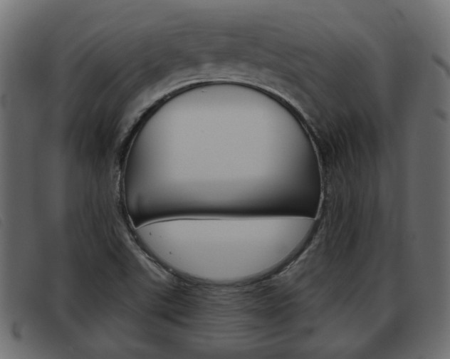 X0000093621507200710151030