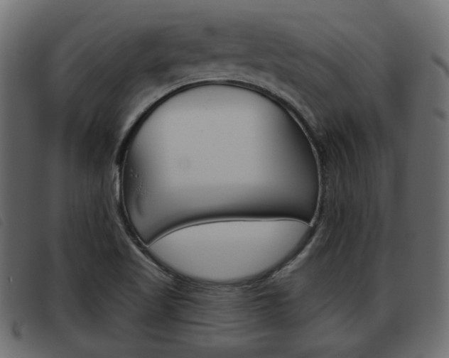X0000093621509200710151030
