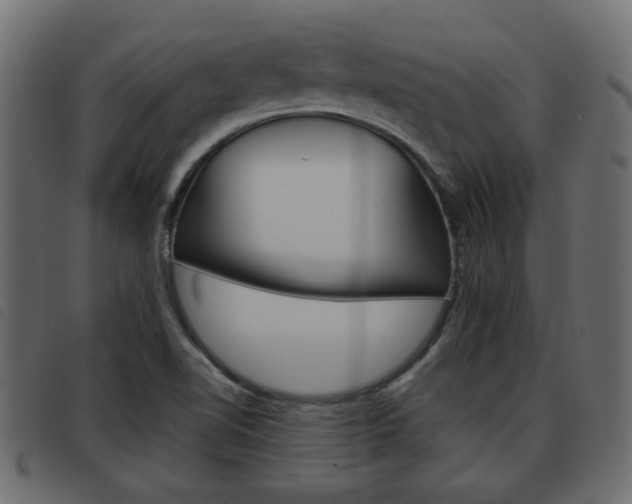 X0000093621510200710151030