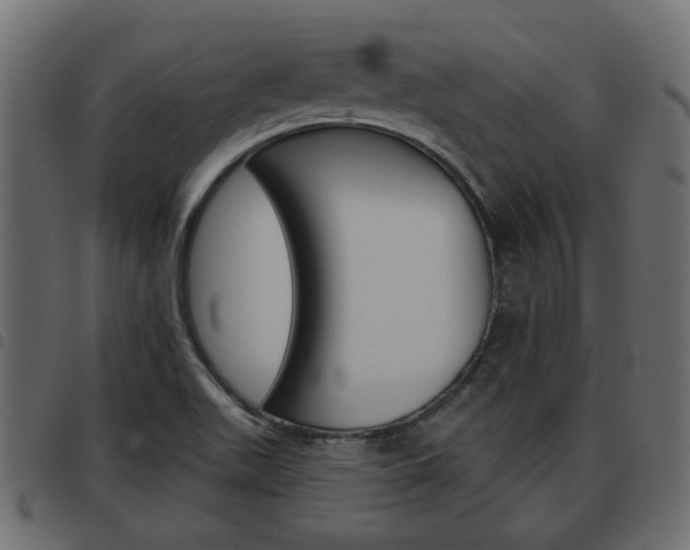 X0000093621511200710151030