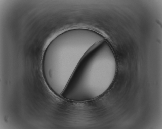 X0000093621512200710151030
