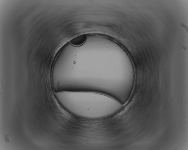 X0000093621513200710151030