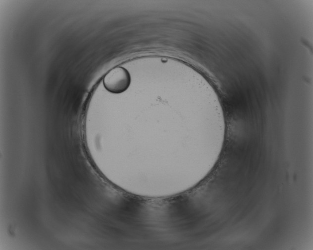 X0000093621514200710151030