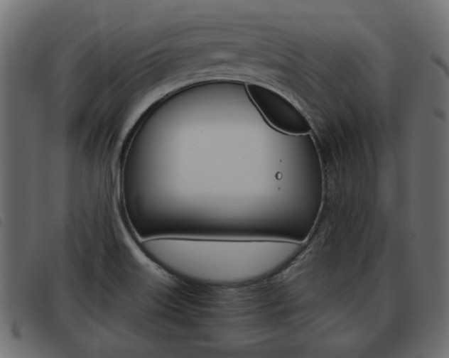 X0000093621515200710151030
