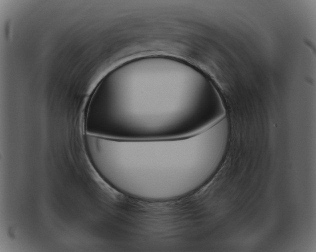 X0000093621516200710151030